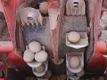 Mechanizm sadzarki ziemniaczanej z ziemniakami gotowymi do sadzenia. To zaprawa do ziemniaków przed sadzeniem.