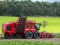 Czerwony kombajn buraczany Vervaet EVO z pełnym zasobnikiem buraków, jeden z wielu rodzajów kombajnów rolniczych, pracuje na polu.