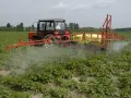 Ciągnik z opryskiwaczem na polu ziemniaków. Oprysk metrybuzyną do kiedy? Ziemniaki rosną bujnie, a opryskiwacz rozpyla środek.