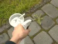 Ręka trzymająca opryskiwacz na zielsko, celując w chwast rosnący między kostkami brukowymi. Obok stoi pojemnik z białym proszkiem i łyżeczką.