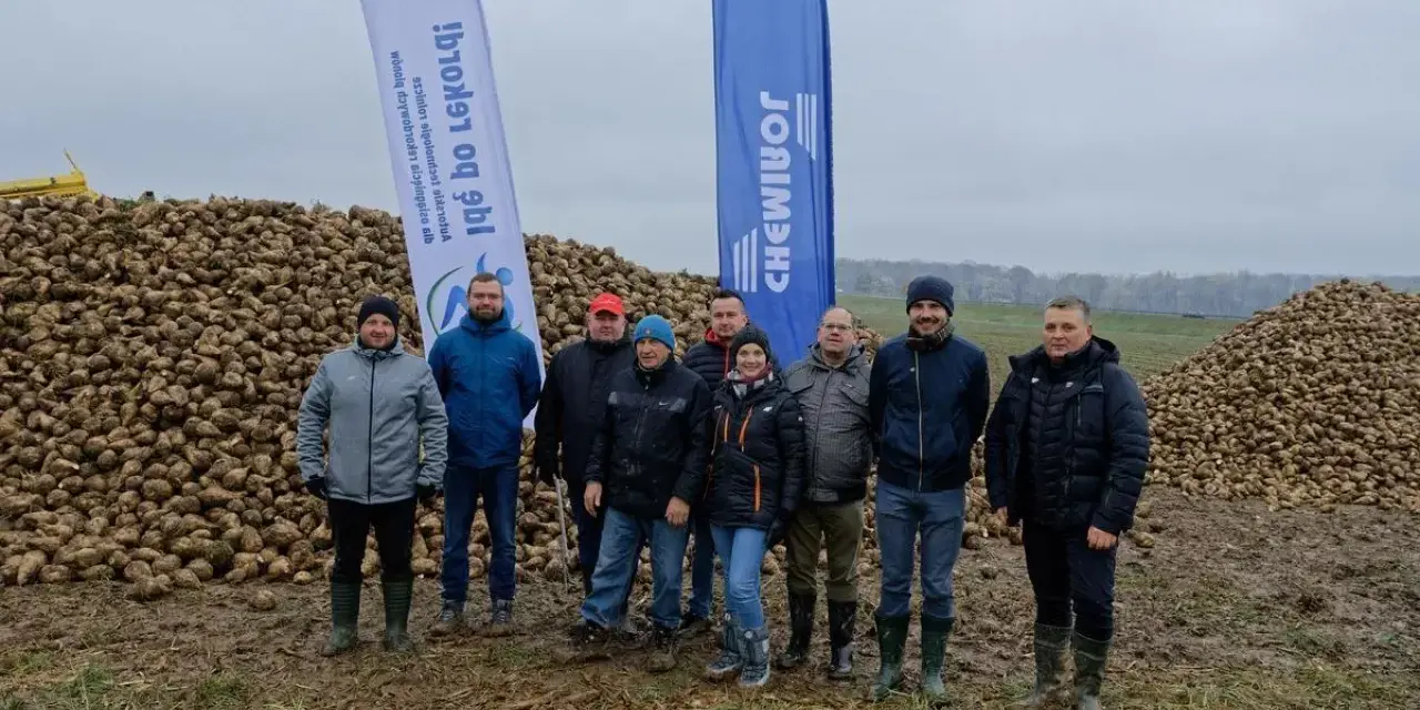 Grupa rolników pozuje na tle ogromnych hałd buraków cukrowych. Wynik tegorocznych zbiorów, pokazujący ile ton buraka cukrowego z hektara, robi wrażenie.