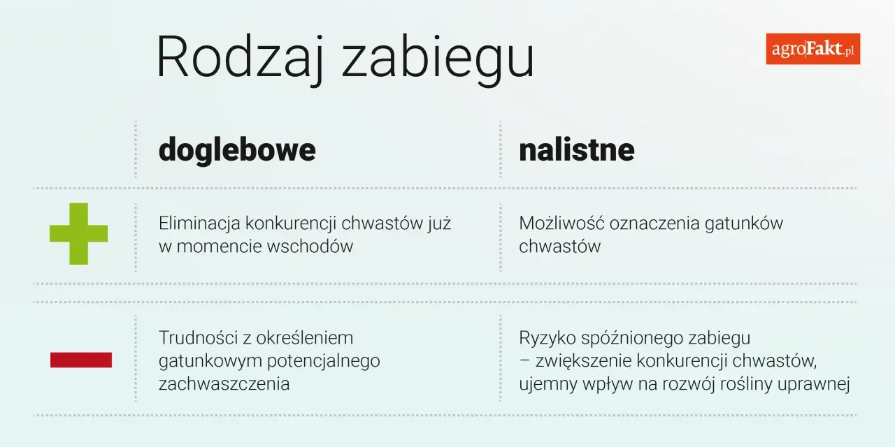 Porównanie zabiegów doglebowych i nalistnych. Herbicydy na chwasty – eliminacja konkurencji już od wschodów lub możliwość oznaczenia gatunków.