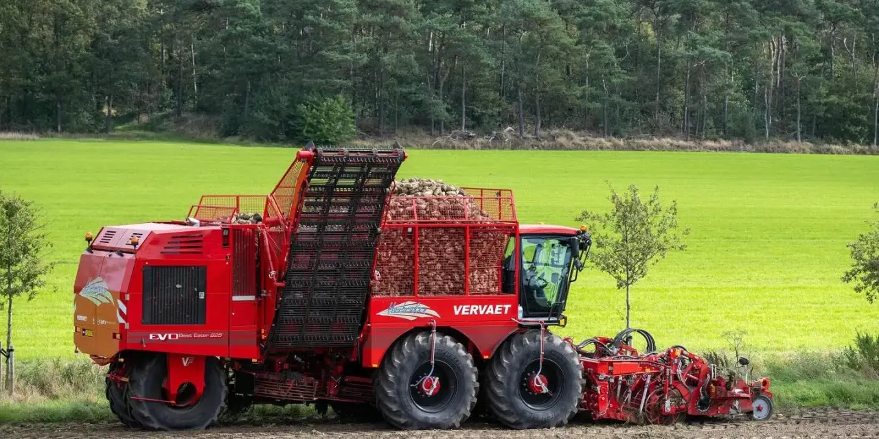 Czerwony kombajn buraczany Vervaet EVO z pełnym zasobnikiem buraków, jeden z wielu rodzajów kombajnów rolniczych, pracuje na polu.