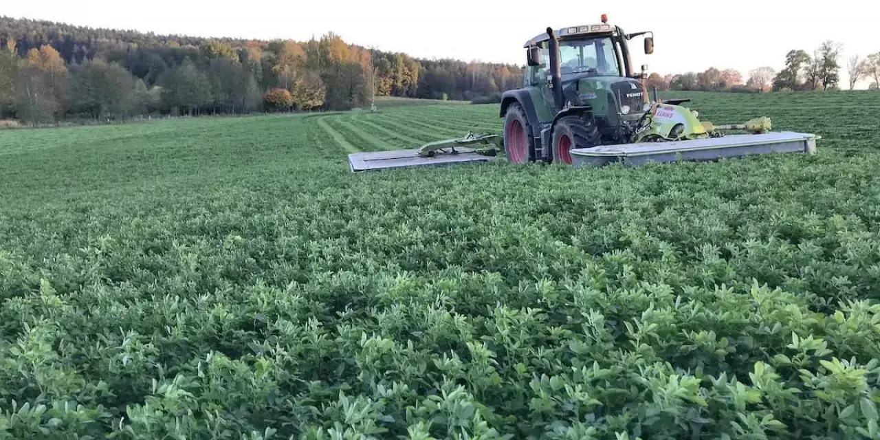 Zielony traktor kosi pole pełne lucerny i koniczyny. W tle las.