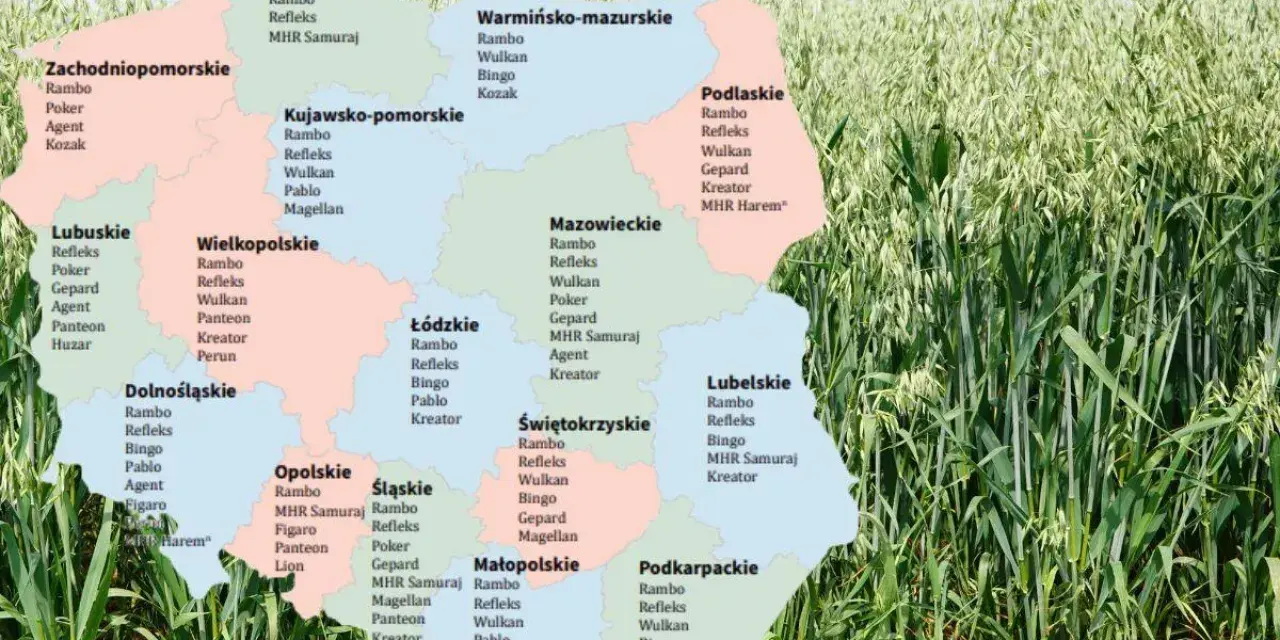 Mapa Polski z zaznaczonymi odmianami owsa, takimi jak Rambo, Refleks, Wulkan, Bingo, Poker, Agent, Kozak, Gepard, Pablo, Magellan, MHR Samuraj, Figaro, Panteon, Kreator, Perun, Monsun, Lion, MHR Harem.