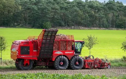 Czerwony kombajn buraczany Vervaet EVO z pełnym zasobnikiem buraków, jeden z wielu rodzajów kombajnów rolniczych, pracuje na polu.