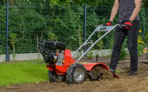 Mężczyzna w rękawiczkach prowadzi czerwoną glebogryzarkę, która spulchnia ziemię w ogrodzie.