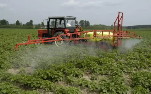 Ciągnik z opryskiwaczem na polu ziemniaków. Oprysk metrybuzyną do kiedy? Ziemniaki rosną bujnie, a opryskiwacz rozpyla środek.
