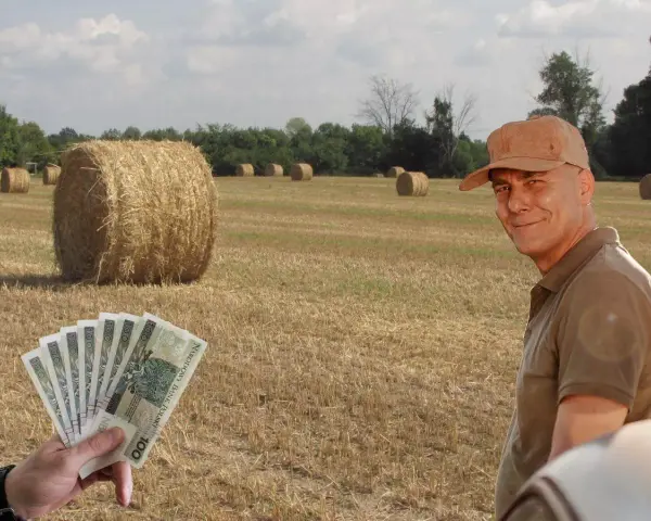 Rolnik z uśmiechem na twarzy, w tle pole ze słomianymi balotami. W ręce trzyma banknoty, zastanawiając się, ile waży balot słomy.