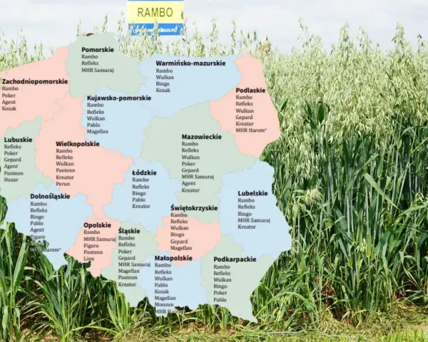 Mapa Polski z zaznaczonymi odmianami owsa, takimi jak Rambo, Refleks, Wulkan, Bingo, Poker, Agent, Kozak, Gepard, Pablo, Magellan, MHR Samuraj, Figaro, Panteon, Kreator, Perun, Monsun, Lion, MHR Harem.