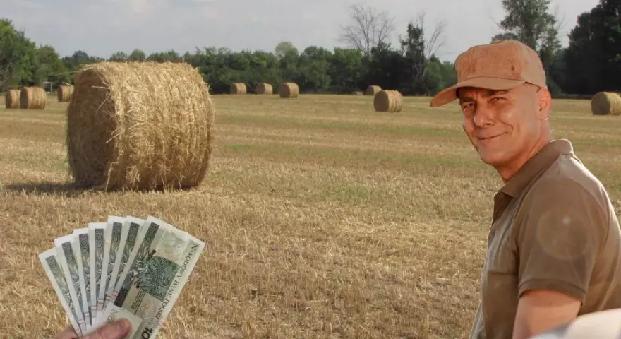 Rolnik z uśmiechem na twarzy, w tle pole ze słomianymi balotami. W ręce trzyma banknoty, zastanawiając się, ile waży balot słomy.
