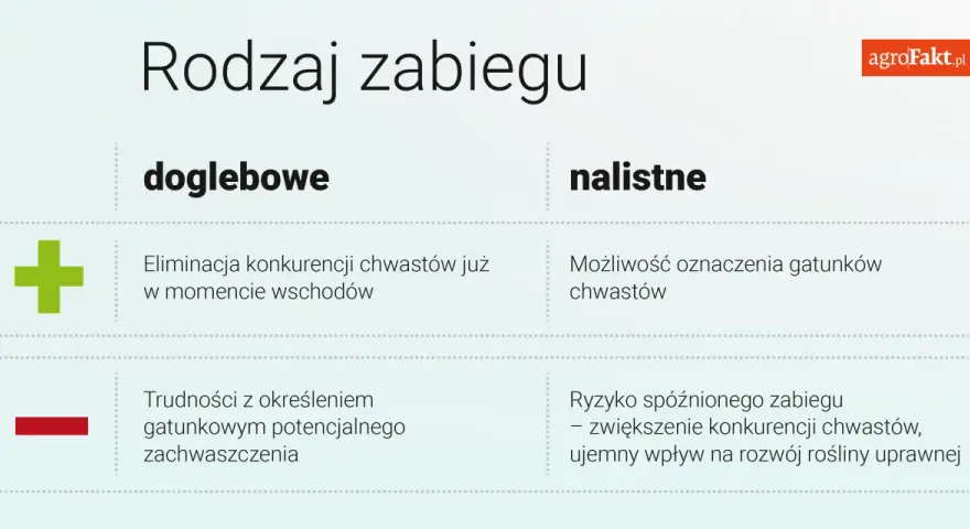 Porównanie zabiegów doglebowych i nalistnych. Herbicydy na chwasty – eliminacja konkurencji już od wschodów lub możliwość oznaczenia gatunków.