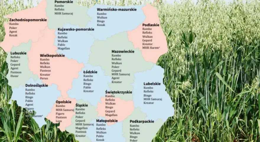 Mapa Polski z zaznaczonymi odmianami owsa, takimi jak Rambo, Refleks, Wulkan, Bingo, Poker, Agent, Kozak, Gepard, Pablo, Magellan, MHR Samuraj, Figaro, Panteon, Kreator, Perun, Monsun, Lion, MHR Harem.