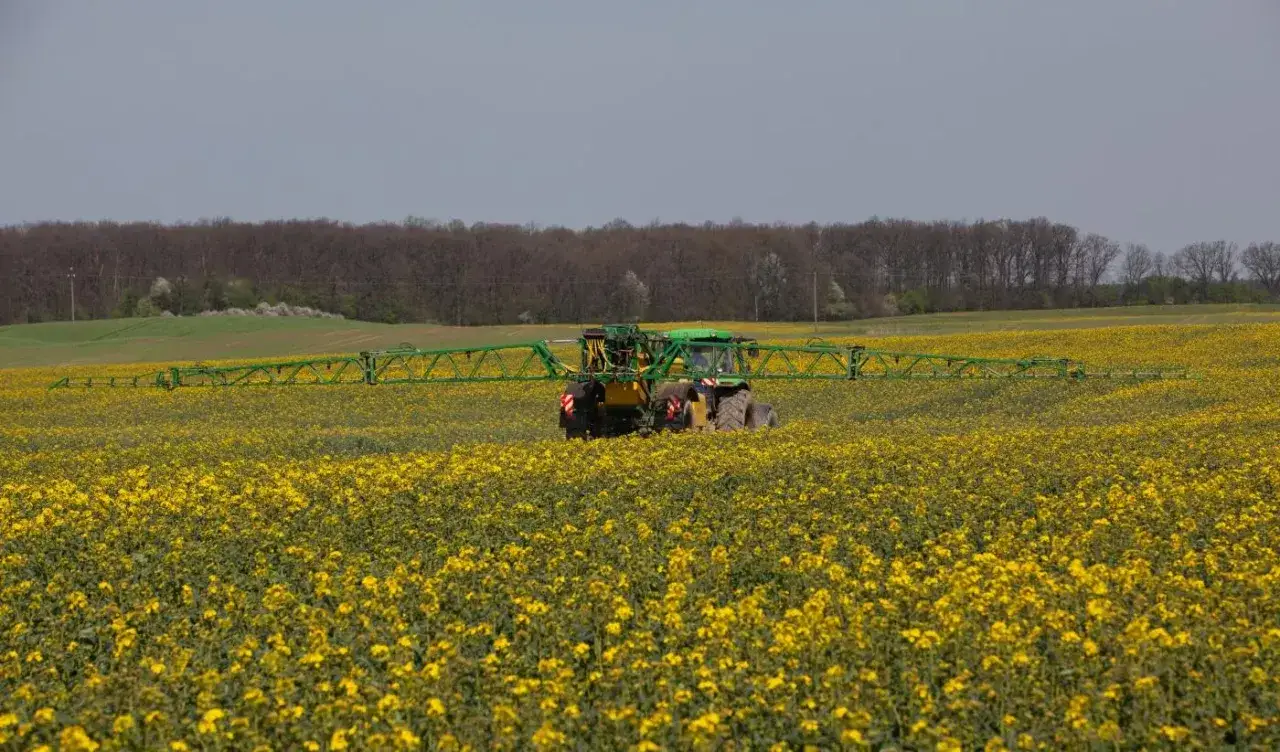Traktor w polu rzepaku z opryskiwaczem. Rolnik szuka alternatywy dla środków, które zostały wycofane, np. deltametryna wycofana.