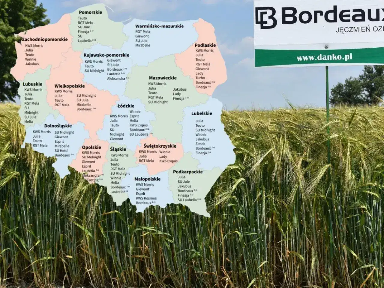 Mapa Polski z zaznaczonymi odmianami jęczmienia ozimego, np. Bordeaux, Julia, Teuto.