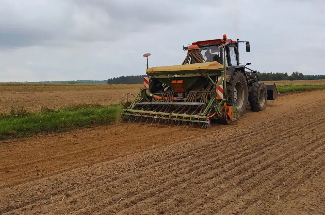 Traktor z siewnikiem pracuje na polu, przygotowując ziemię. To idealny moment, kiedy siać żyto jare, by uzyskać obfite plony.
